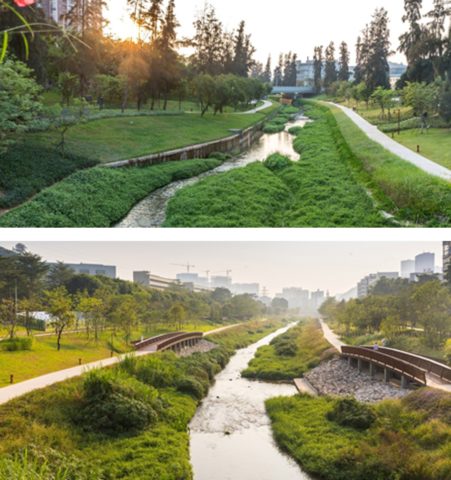 Dasha River Ecological Corridor