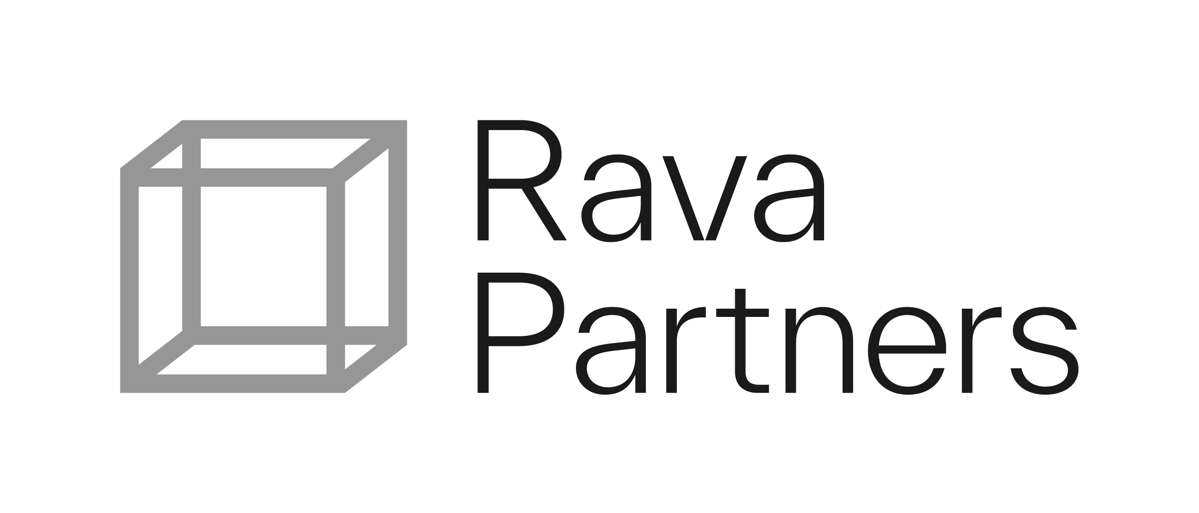 Rava Partners_v2
